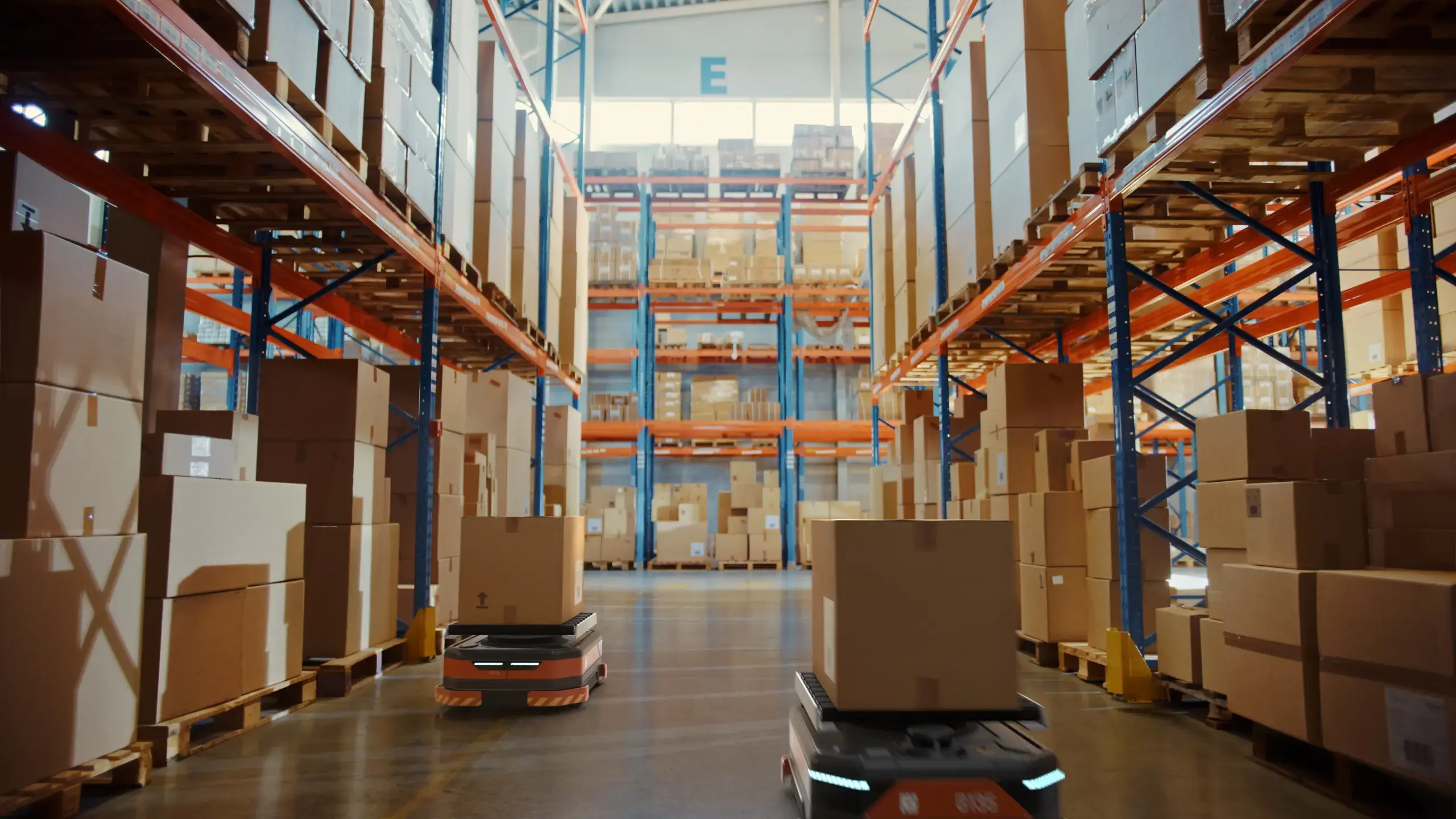 Driverless Robots Warehouse