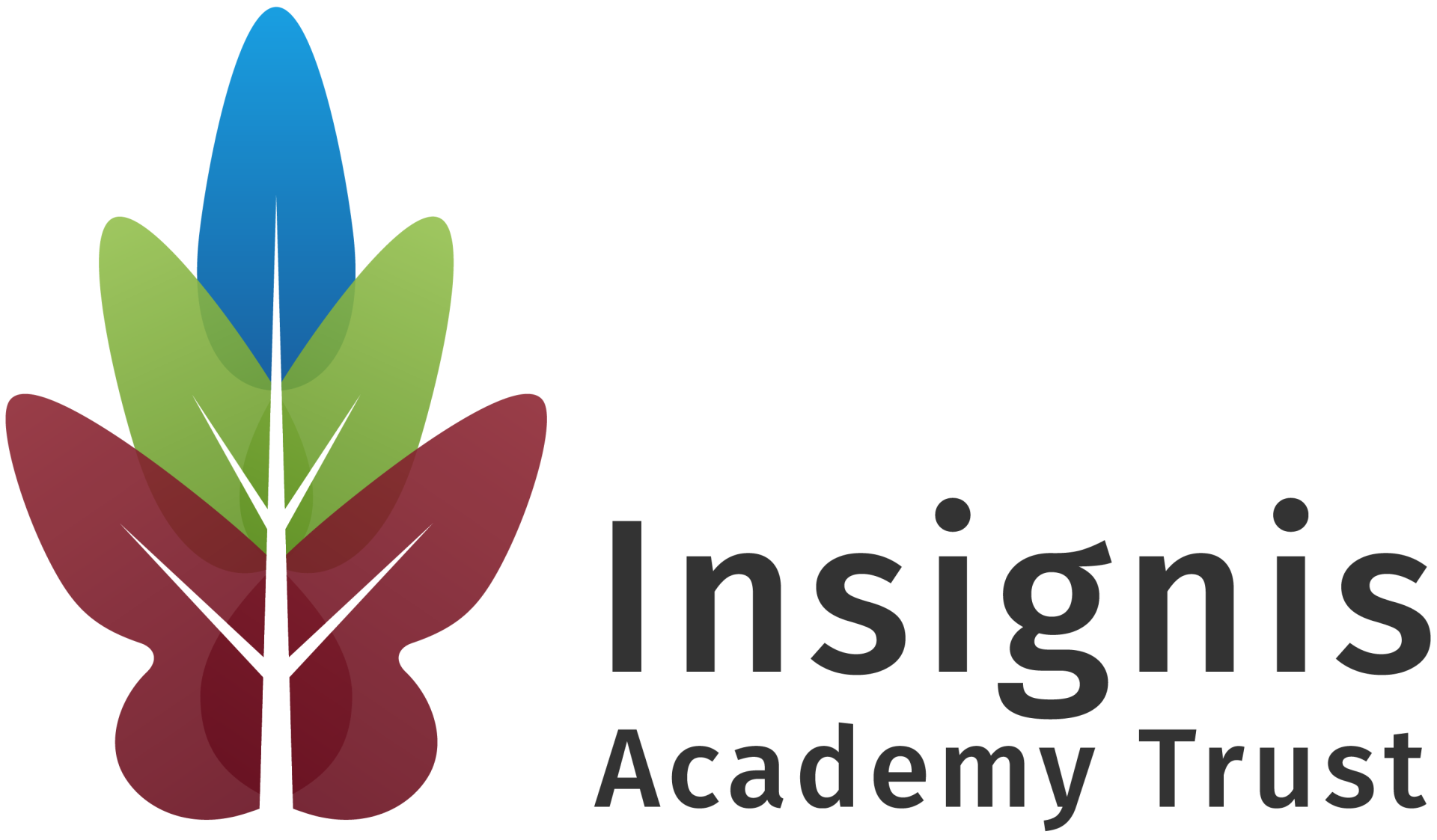 InsignisAT_Logo_Colour